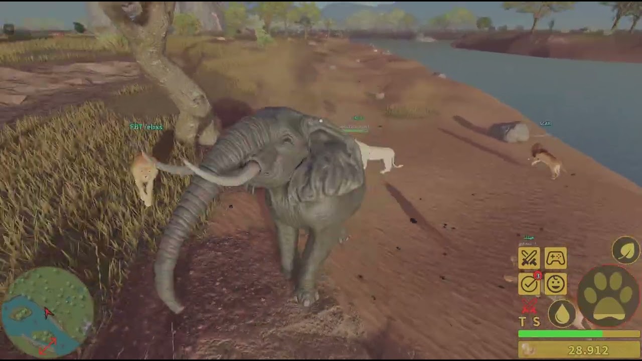 حياة فيل من صغر ل الدر جزء الثاني قتالات مع فيله والاسود