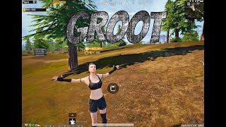 Ultimate royale grinding