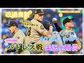 【パドレスLive】MLB パドレス VS. ロッキーズ 実況生配信 2026.9.17 9:40～ 【PADRES LIVE 2026】のサムネイル
