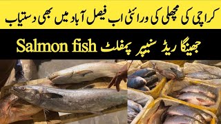 Karachi Fish Variety Now In Faisalabad Novelty Pul Red Snapper, Salmon Fish,29 October 2025