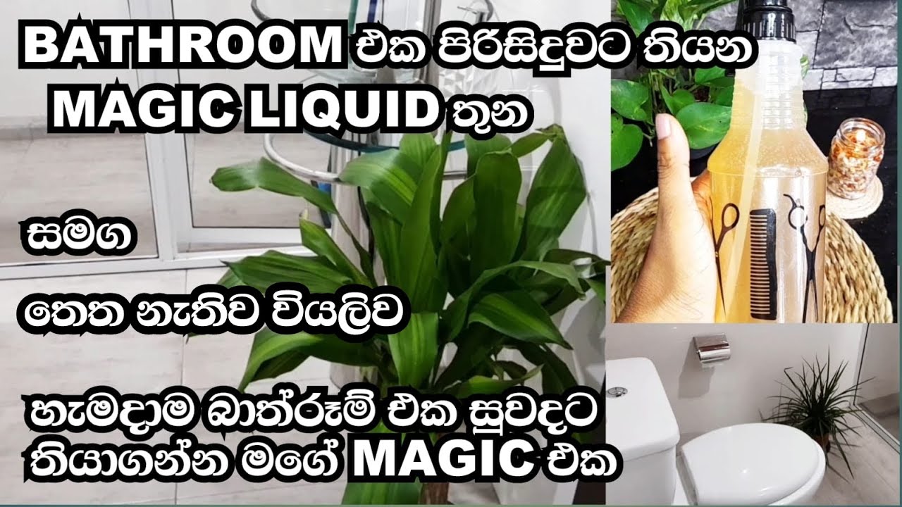 Bathroom එක හැමදාම සුවදට සහ පිරිසිදුවට තියන මගේ Magic එක😊| How to clean everything in your Bathroom?