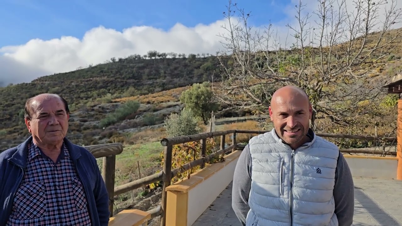 Mañana de jueves  TLF 667 78 68 63