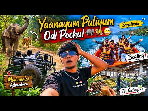 Yaanayum Puliyum Odi Pochu! 🐘🐅😅 | Sogathula Boating & Tea Factory-ku Poitom 🚤☕