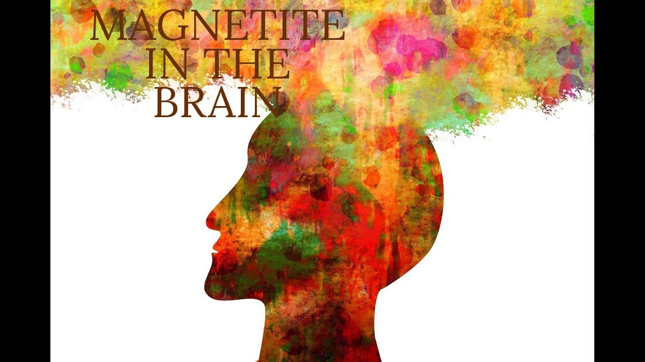 Magnetite in the Human Brain? But why? With Psychic Kathryn Kauffman