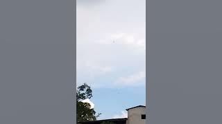 Download lagu BWNya menggila di SP Peribadi