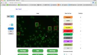 Image annotation on browser