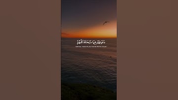القران الكريم | عبدالرحمن مسعد #quran #عبدالرحمن_مسعد