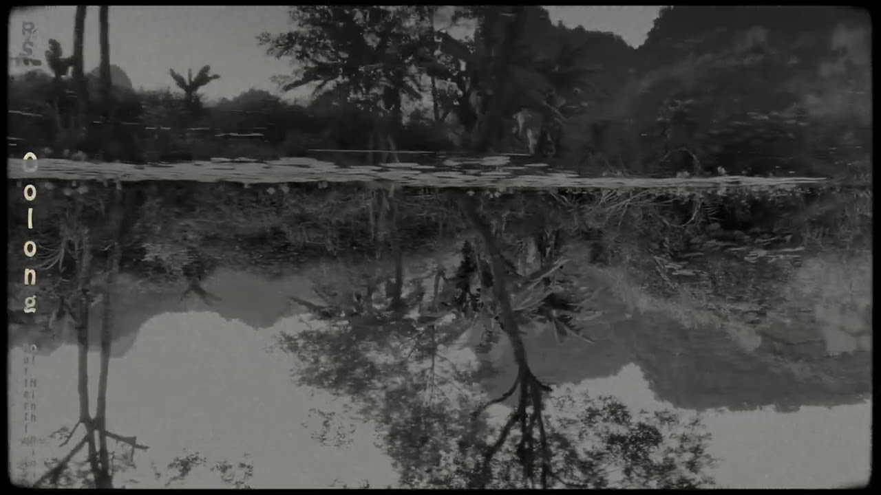 Ran Slavin -  Butterfly of Ninh Binh - taken from the album Oolong: Ambient Works  (Mille Plateaux)