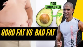 Professor Tim Noakes Breaks Down Good and Bad Fat