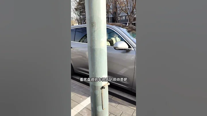 理想L7 的便捷上下車功能，我替大家試過了。大家酌情慎用 - 天天要聞