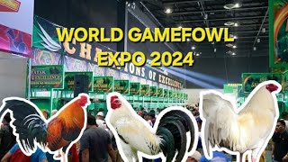 World Gamefowl Expo 2024 - Part 1