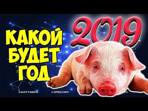 2019 год будет, какого животного по восточному гороскопу: символ, цвет, характеристика. Год Свиньи по восточному календарю, в какие годы выпадал на прошлое и будущее столетие: список