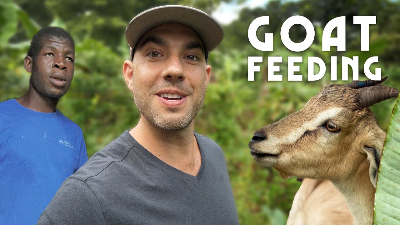 Goat Feeding 101 with Coppy!