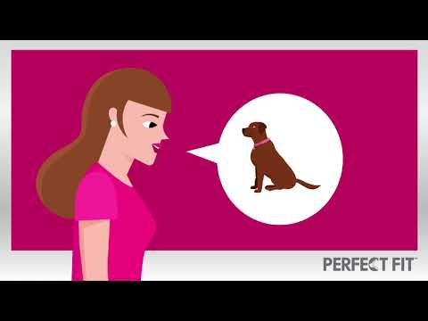 Video: Wie Verstehen Sie Ihr Haustier?