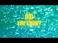 Did You Know? The Most Expensive Liquid is .....