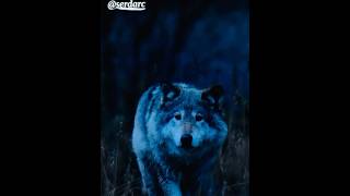 Bu Saatten Sonra Kopacak Fırtına Beni Bağlamaz Öz