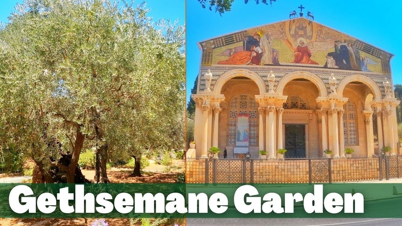 Garden of Gethsemane :  Here Jesus Prayed and was Betrayed  by Judas Iscariot | Jerusalem