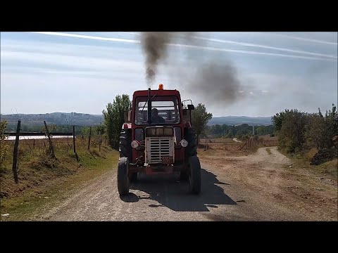 BÜYÜK ENTER (654-S) YÜKLÜ HAYKIRIŞ..!