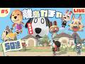 【あつ森 離島ガチャ 第5回】そろそろ来てもらわないと怒りますよ?🐈|#animalcrossing