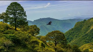 Extinción  Documental, El Salvador