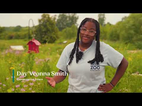 Conservation Internship Program | Toledo Zoo