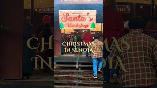 The Christmas Parade That Brings Senoia TO LIFE During The Holidays!