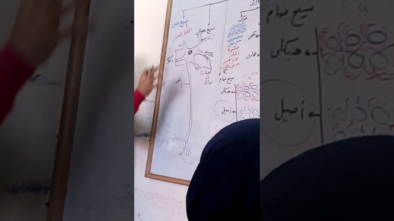 رسم الخليه العصبيه بطريقه بسيطه Youtube