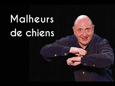 Malheurs de chiens