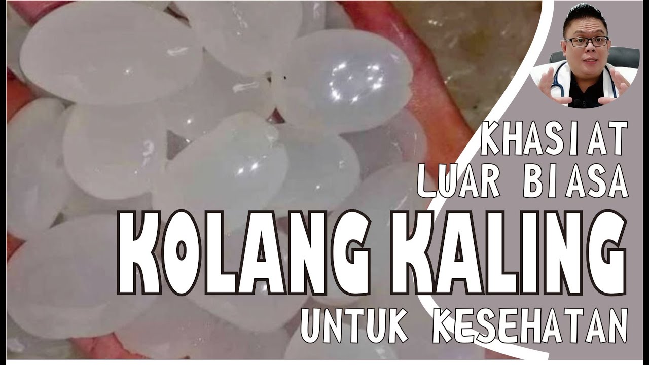 KHASIAT KOLANG KALING UNTUK KESEHATAN 