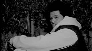 Download Lagu the weeknd – don't break my heart (slowed + reverb) MP3