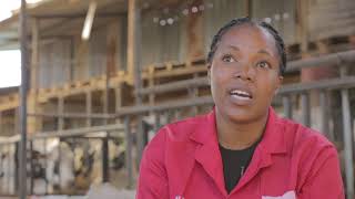 Fodder Paste_Testimonial:  Providing Nutrition to Cows Experiencing Difficulty Feeding