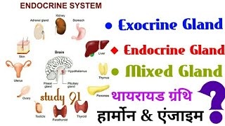 Endocrine Gland science biology science video class Study 91 Nitin sir