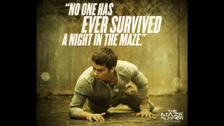 THE MAZE RUNNER QUOTES