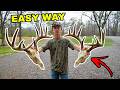 The Easiest Way to European Mount a Deer (Step-by-Step)