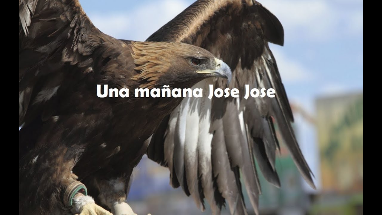 Una mañana Jose Jose letra YouTube Una mañana Jose Jose letra YouTube