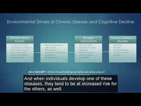 Environmental Drivers of Chronic Disease and Cognitive Decline