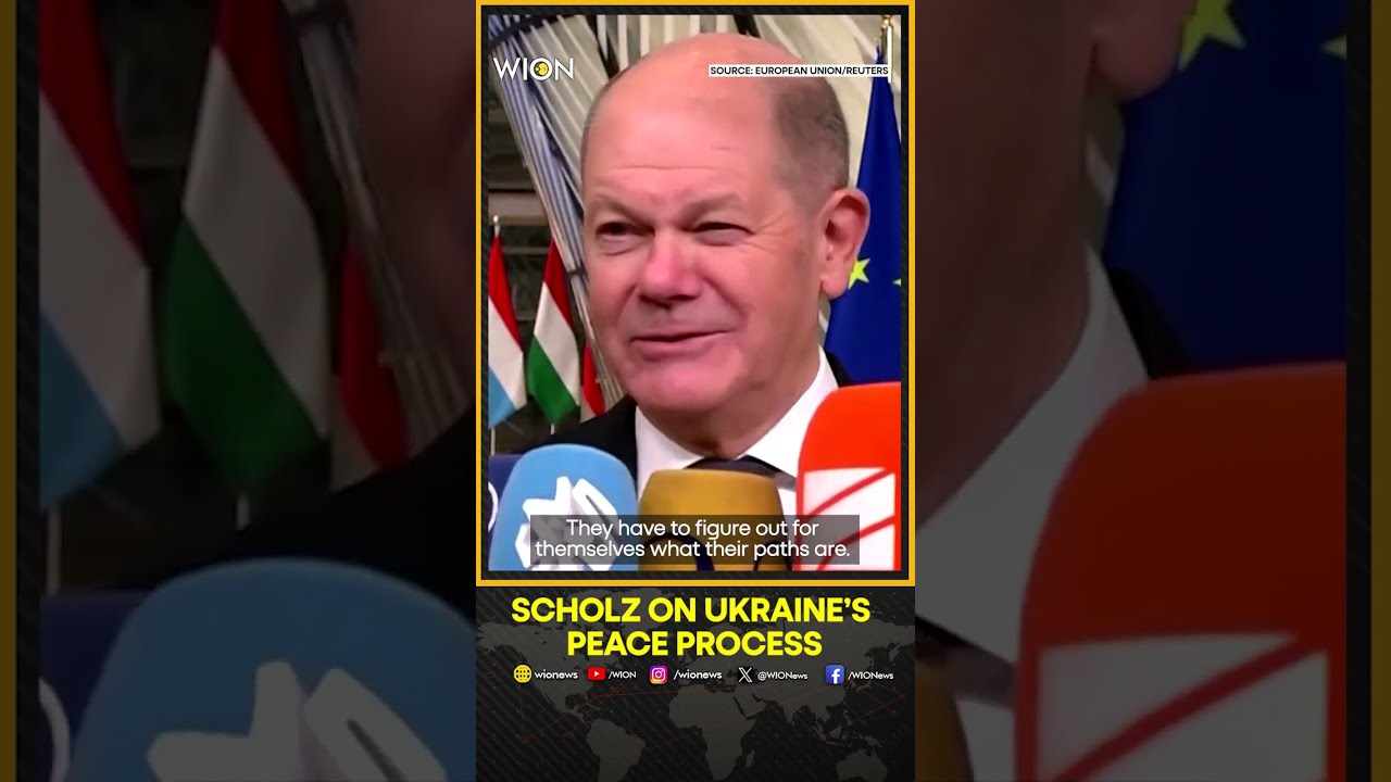 Ukraine Must Decide Its Own Peace Process Says Germany S Scholz World News