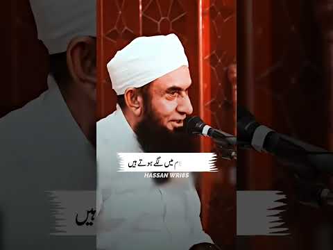 Molana Tariq Jameel Sabb Latest Bayan Youtubeshorts Tariqjameel Reels Viral Shorts Viralvideo 