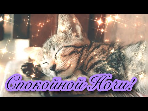 🌃🌜СПОКОЙНОЙ И ДОБРОЙ НОЧИ!🌛🌃