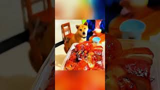 Почему маленькая испуганная собака стала героем, готовым отдать жизнь? 🐶💔 short feed,