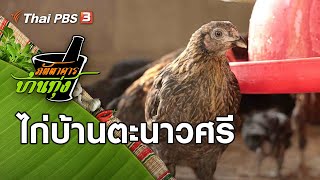 ไก่บ้านตะนาวศรี : ภัตตาคารบ้านทุ่ง (30 ม.ค. 64)