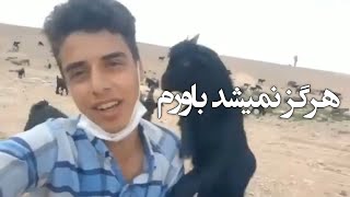 هرگز نمیشد باورم این برف پیری بر سرم