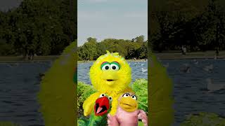 Baby Big Bird Sings La La La 🎵