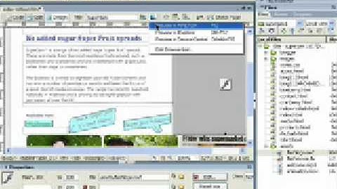 Dreamweaver Tutorial - Add Flash Video to Web Site