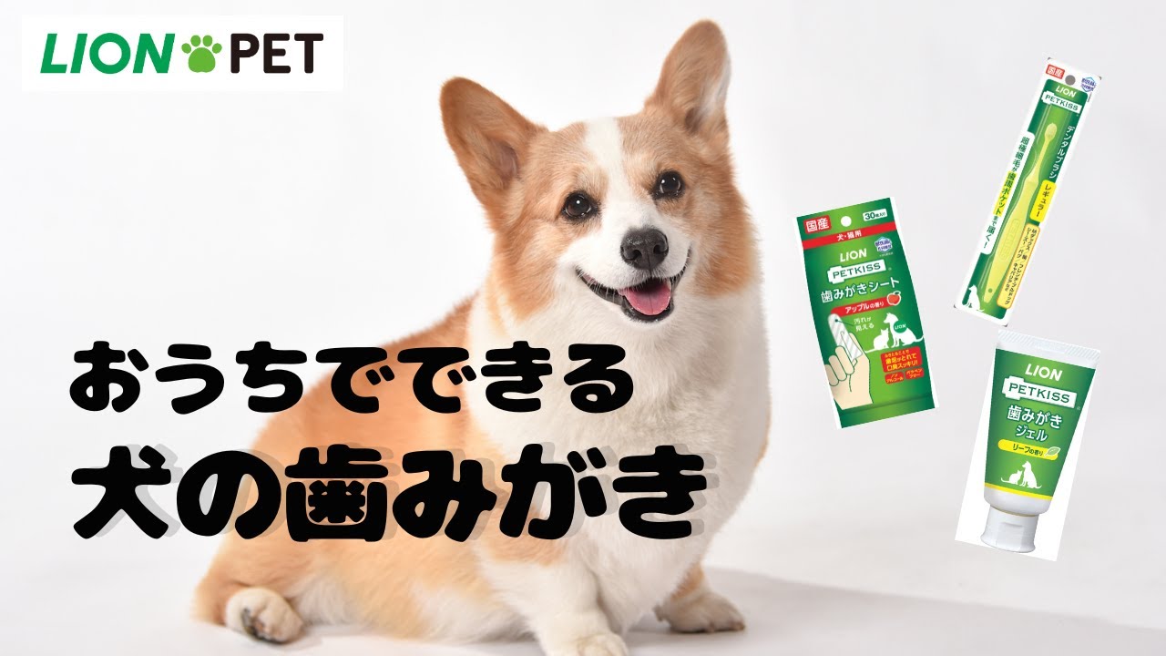 PETKISS 食後の歯みがきガム 小型犬用｜ライオンペット株式会社