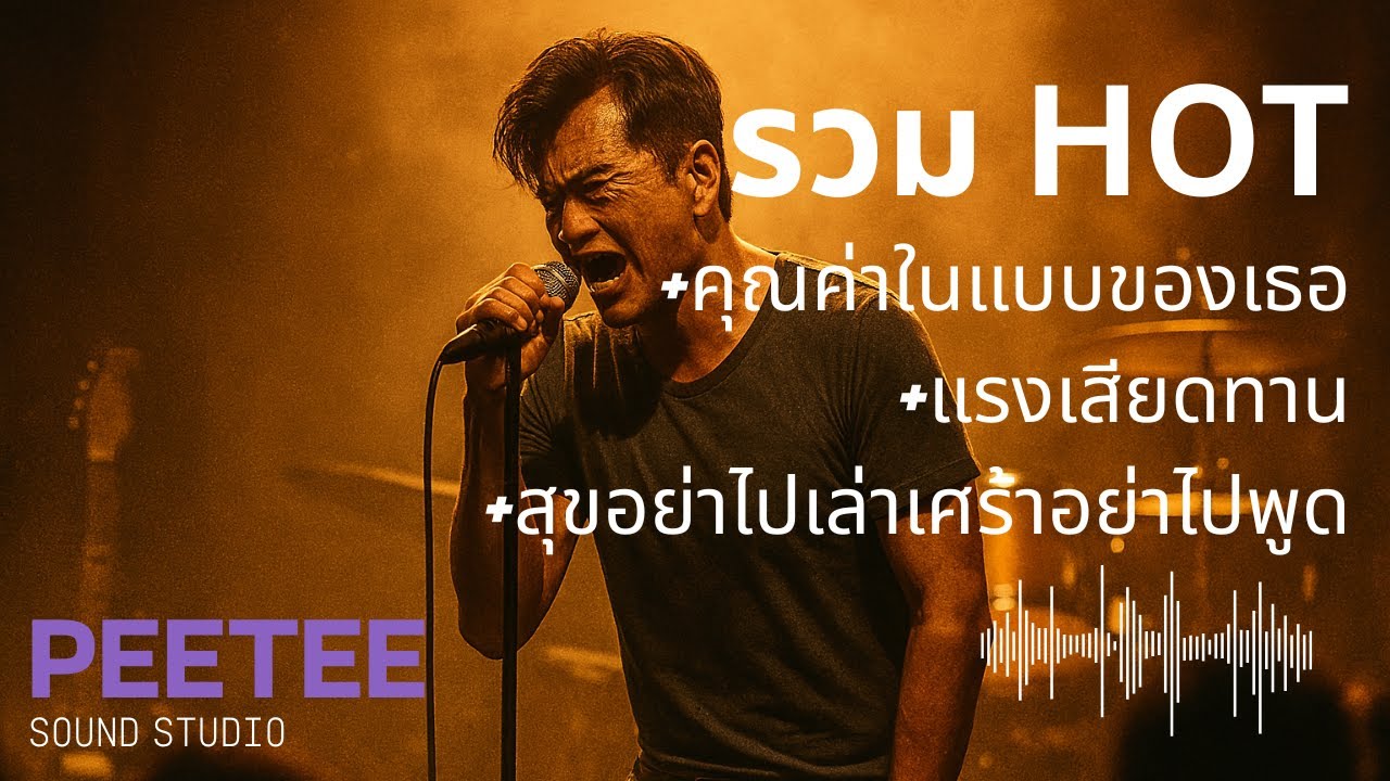 รวมฮิต vol.1 [คุณค่าในแบบของเธอ | แรงเสียดทาน | สุขอย่าไปเล่าเศร้าอย่าไปพูด]