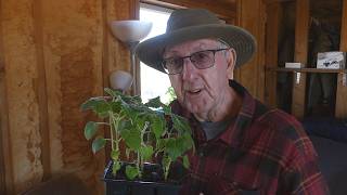 Spring time projects - No end to them Content