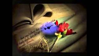 erdoğan halaç-bir garip yolcu