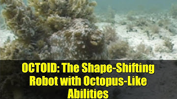 OCTOID: The Shape-Shifting Robot with Octopus-Like Abilities