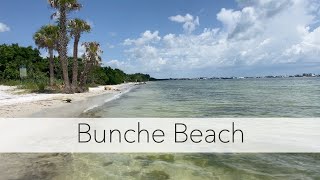Virtual shelling like a local. Let's explore Bunche Beach!